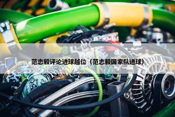 范志毅评论进球越位（范志毅国家队进球）
