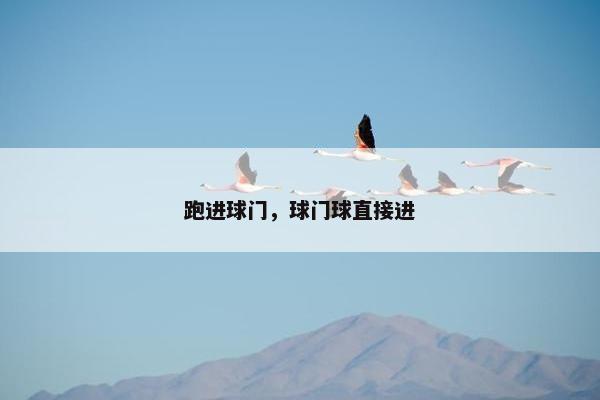 跑进球门，球门球直接进