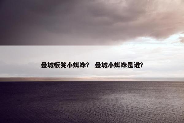曼城板凳小蜘蛛？ 曼城小蜘蛛是谁？