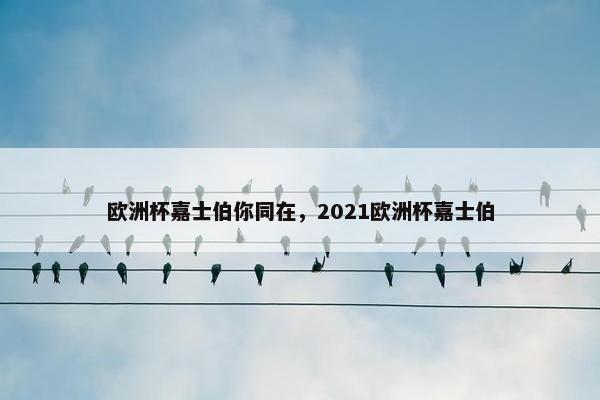 欧洲杯嘉士伯你同在，2021欧洲杯嘉士伯
