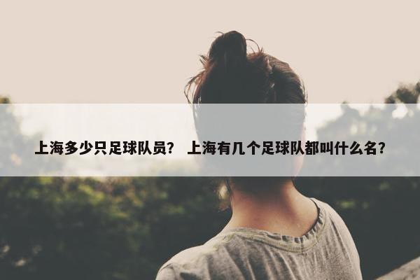 上海多少只足球队员？ 上海有几个足球队都叫什么名？