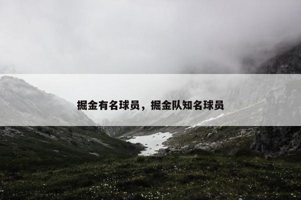 掘金有名球员，掘金队知名球员