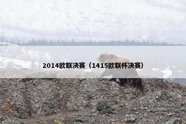 2014欧联决赛（1415欧联杯决赛）