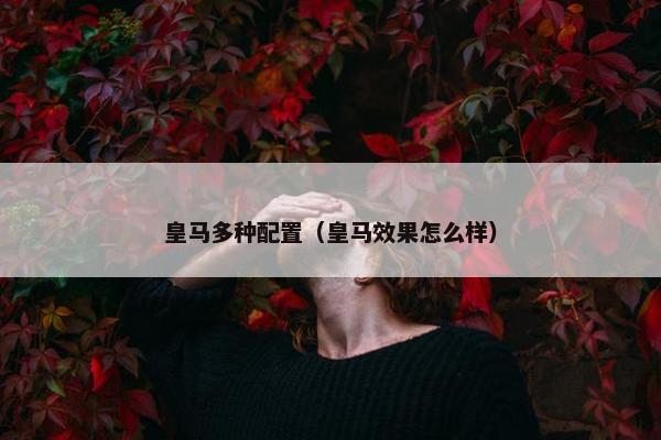 皇马多种配置（皇马效果怎么样）