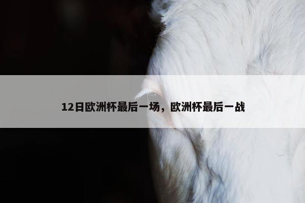 12日欧洲杯最后一场，欧洲杯最后一战