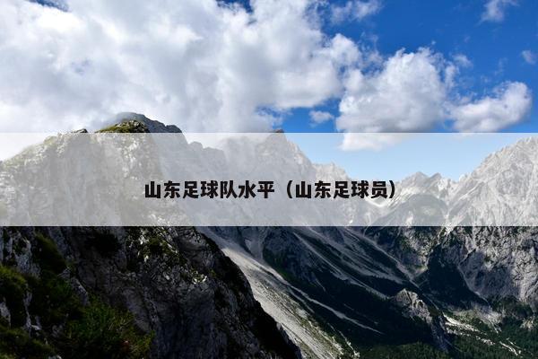 山东足球队水平（山东足球员）