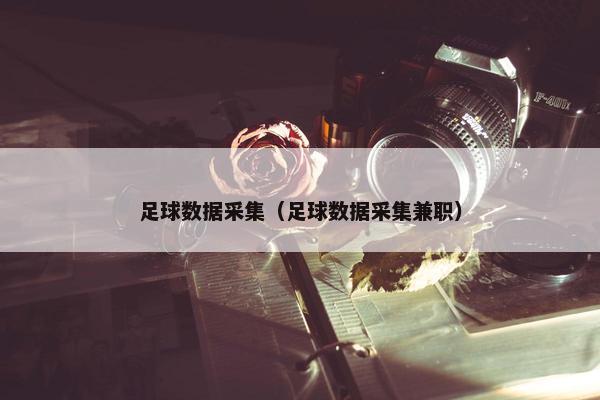 足球数据采集（足球数据采集兼职）