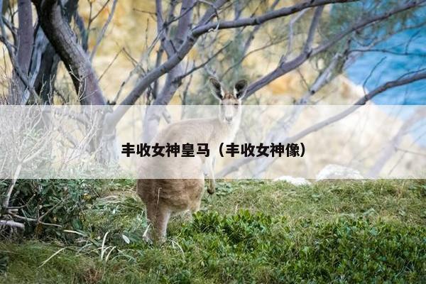 丰收女神皇马（丰收女神像）