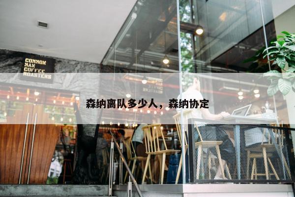森纳离队多少人，森纳协定