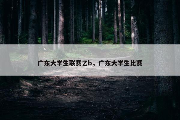 广东大学生联赛乙b，广东大学生比赛