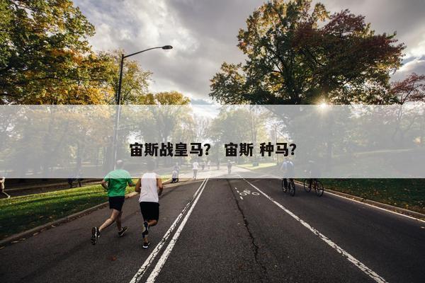 宙斯战皇马？ 宙斯 种马？