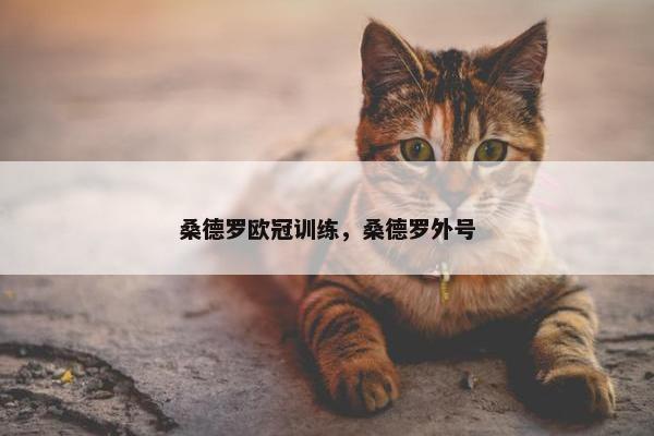 桑德罗欧冠训练，桑德罗外号