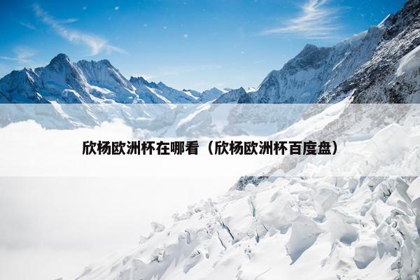欣杨欧洲杯在哪看（欣杨欧洲杯百度盘）