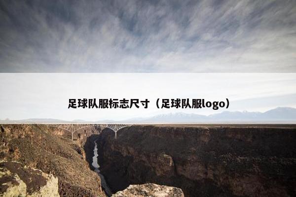 足球队服标志尺寸（足球队服logo）