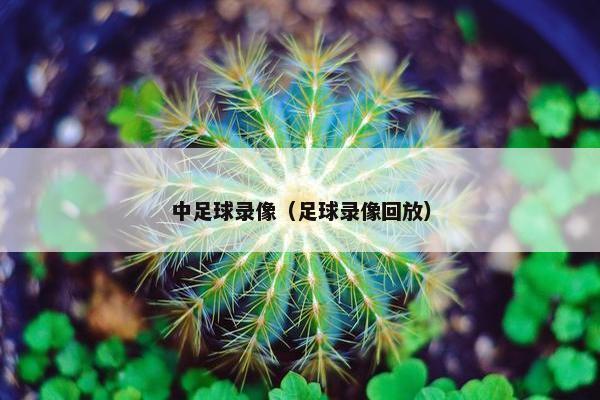 中足球录像（足球录像回放）