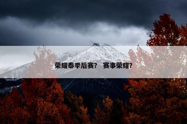 荣耀泰季后赛？ 赛事荣耀？