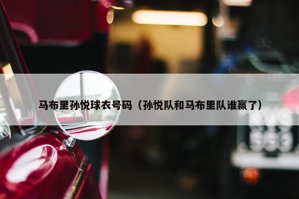 马布里孙悦球衣号码（孙悦队和马布里队谁赢了）