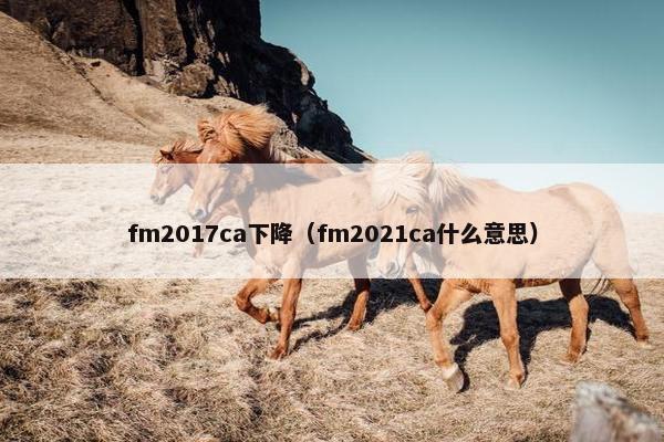 fm2017ca下降（fm2021ca什么意思）