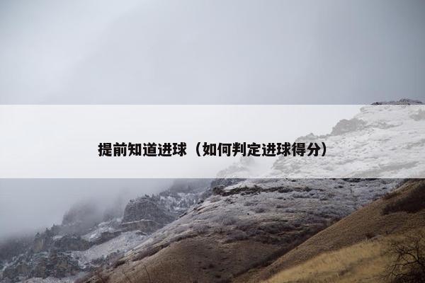 提前知道进球（如何判定进球得分）
