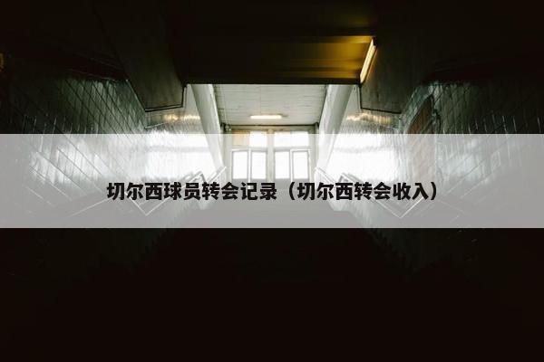 切尔西球员转会记录（切尔西转会收入）