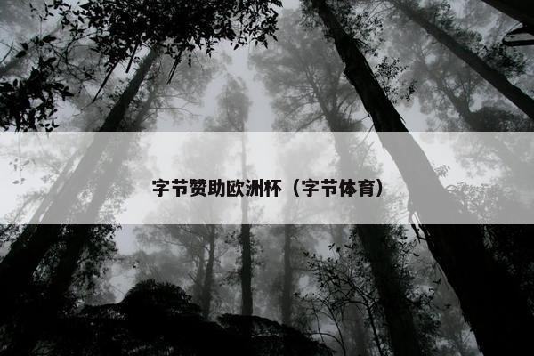 字节赞助欧洲杯（字节体育）