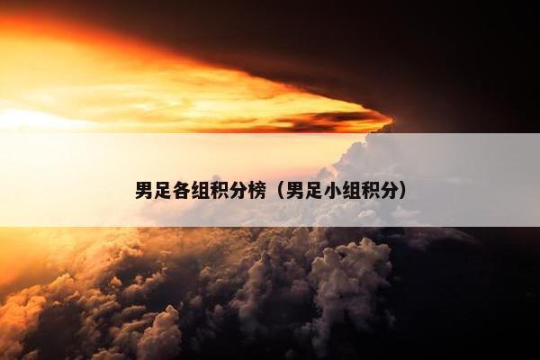 男足各组积分榜（男足小组积分）