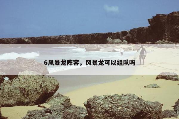 6风暴龙阵容，风暴龙可以组队吗
