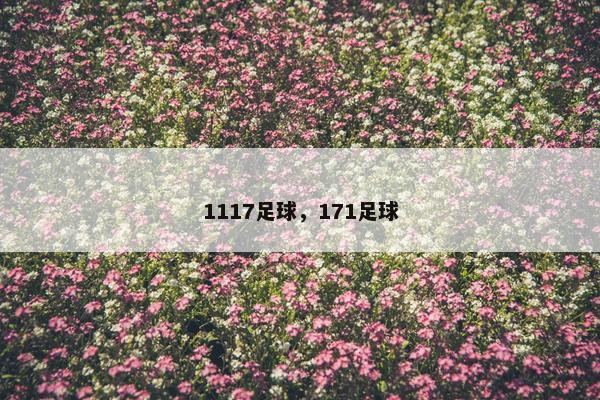 1117足球，171足球