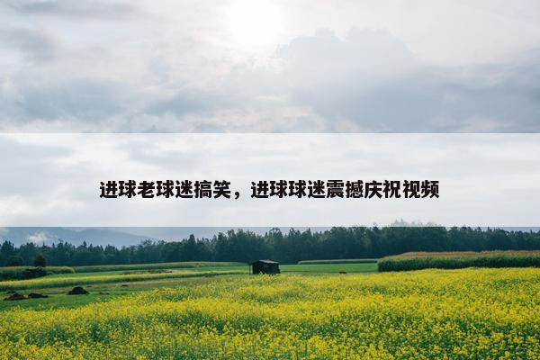 进球老球迷搞笑，进球球迷震撼庆祝视频