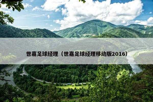 世嘉足球经理（世嘉足球经理移动版2016）