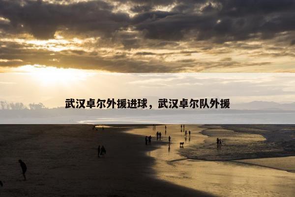 武汉卓尔外援进球，武汉卓尔队外援