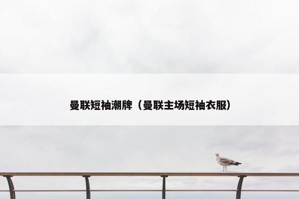 曼联短袖潮牌（曼联主场短袖衣服）