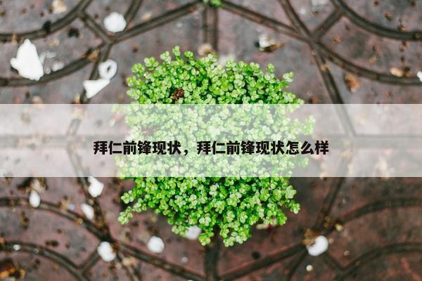拜仁前锋现状，拜仁前锋现状怎么样