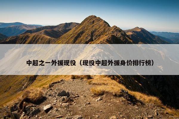 中超之一外援现役（现役中超外援身价排行榜）