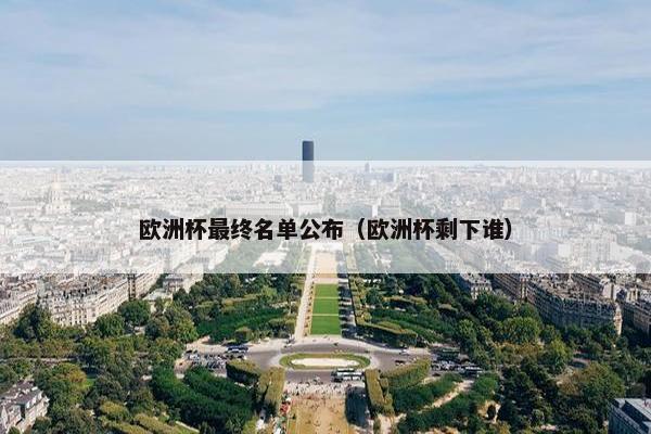 欧洲杯最终名单公布（欧洲杯剩下谁）