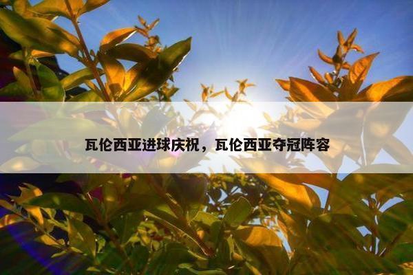 瓦伦西亚进球庆祝，瓦伦西亚夺冠阵容