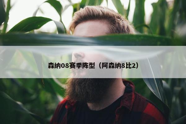 森纳08赛季阵型（阿森纳8比2）
