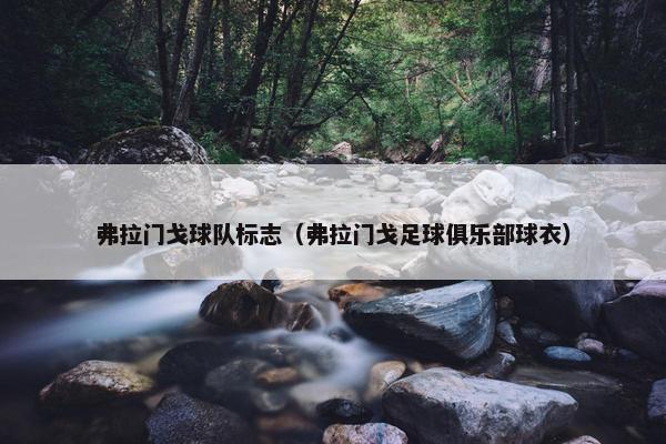 弗拉门戈球队标志（弗拉门戈足球俱乐部球衣）