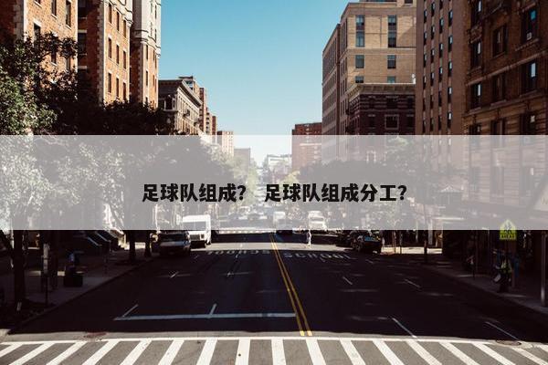 足球队组成？ 足球队组成分工？