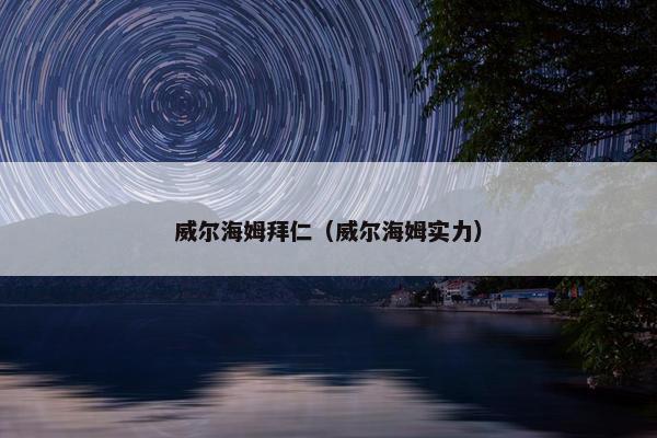 威尔海姆拜仁（威尔海姆实力）