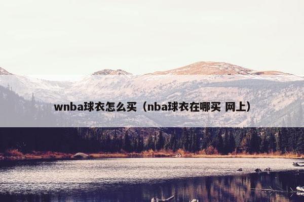 wnba球衣怎么买（nba球衣在哪买 网上）