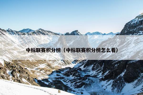 中标联赛积分榜（中标联赛积分榜怎么看）