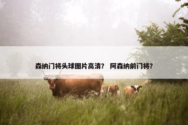 森纳门将头球图片高清？ 阿森纳前门将？