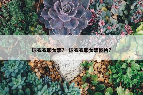 球衣衣服女装？ 球衣衣服女装图片？