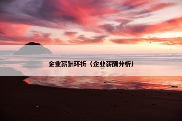 企业薪酬环析（企业薪酬分析）