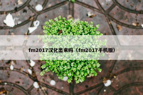 fm2017汉化出来吗（fm2017手机版）