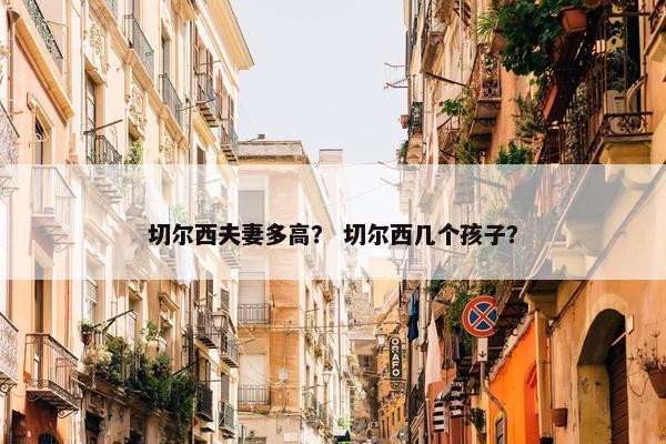 切尔西夫妻多高？ 切尔西几个孩子？