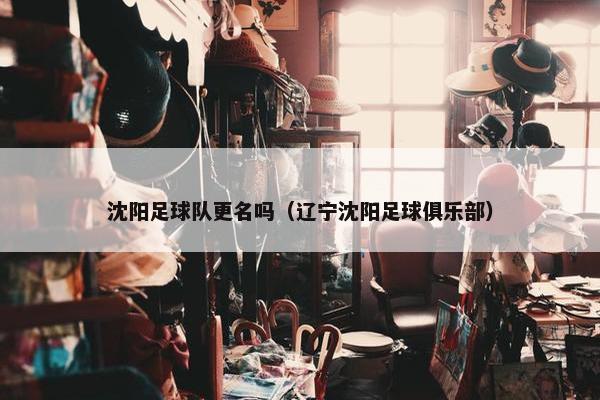 沈阳足球队更名吗（辽宁沈阳足球俱乐部）