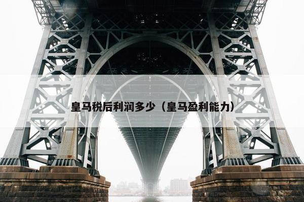 皇马税后利润多少（皇马盈利能力）