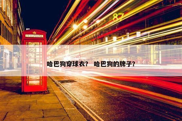 哈巴狗穿球衣？ 哈巴狗的牌子？